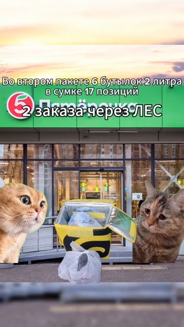 Тяжёлый заказ #fyp #курьер #работа #доставка #мем #юмор смотреть онлайн