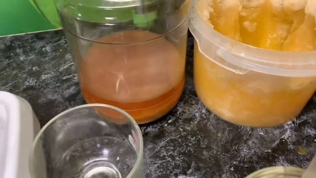 ДЕЛАЮ НАСТОЙКУ С ЯБЛОЧНЫМ УКСУСОМ, МЁДОМ И ЧЕСНОКОМ🧄🧄🧄НАСТОЙКА ОЧЕНЬ ПОЛЕЗНА ДЛЯ КУР И ДЛЯ ЧЕЛОВЕ смотреть онлайн