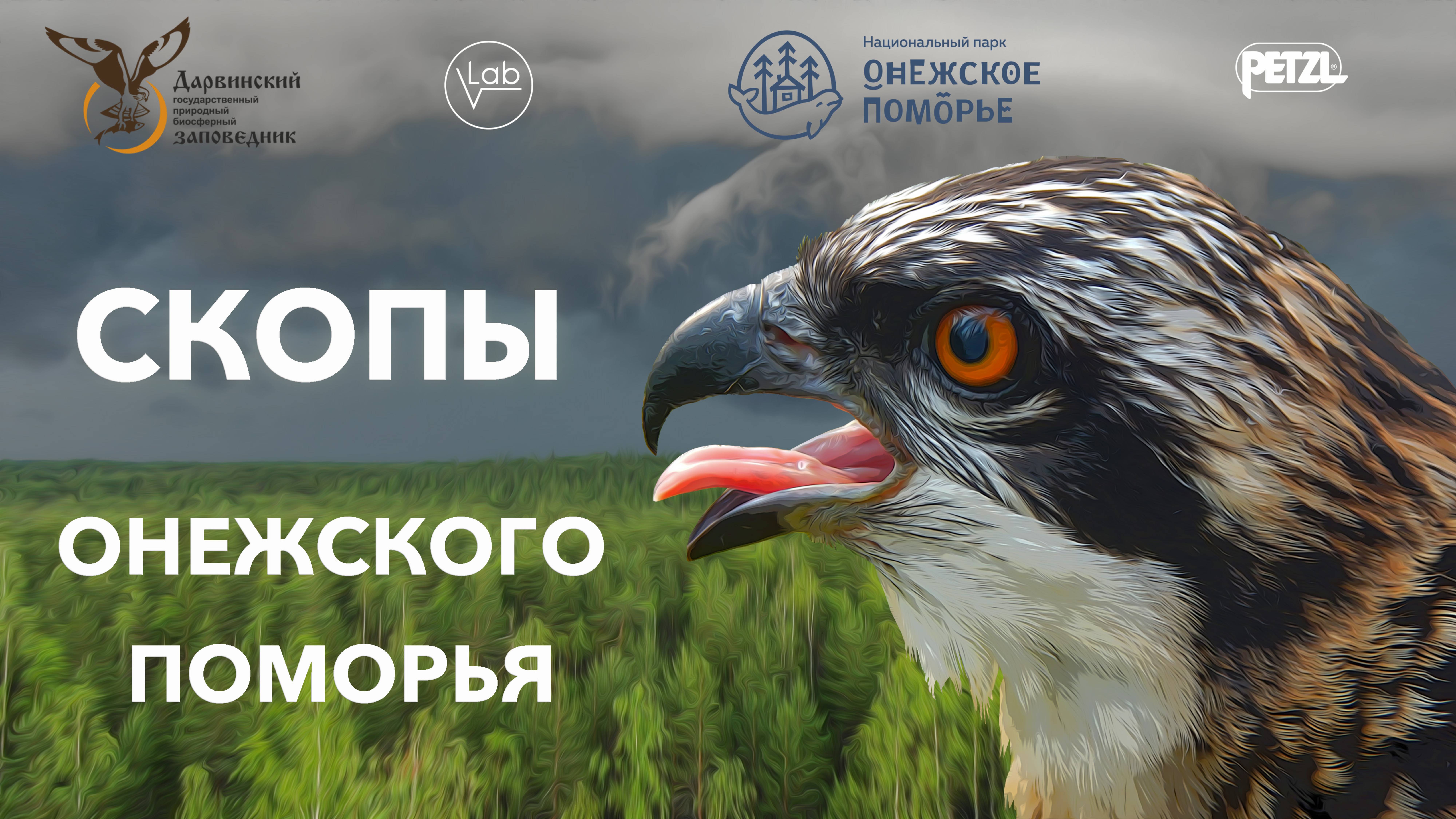 СКОПЫ Онежского Поморья