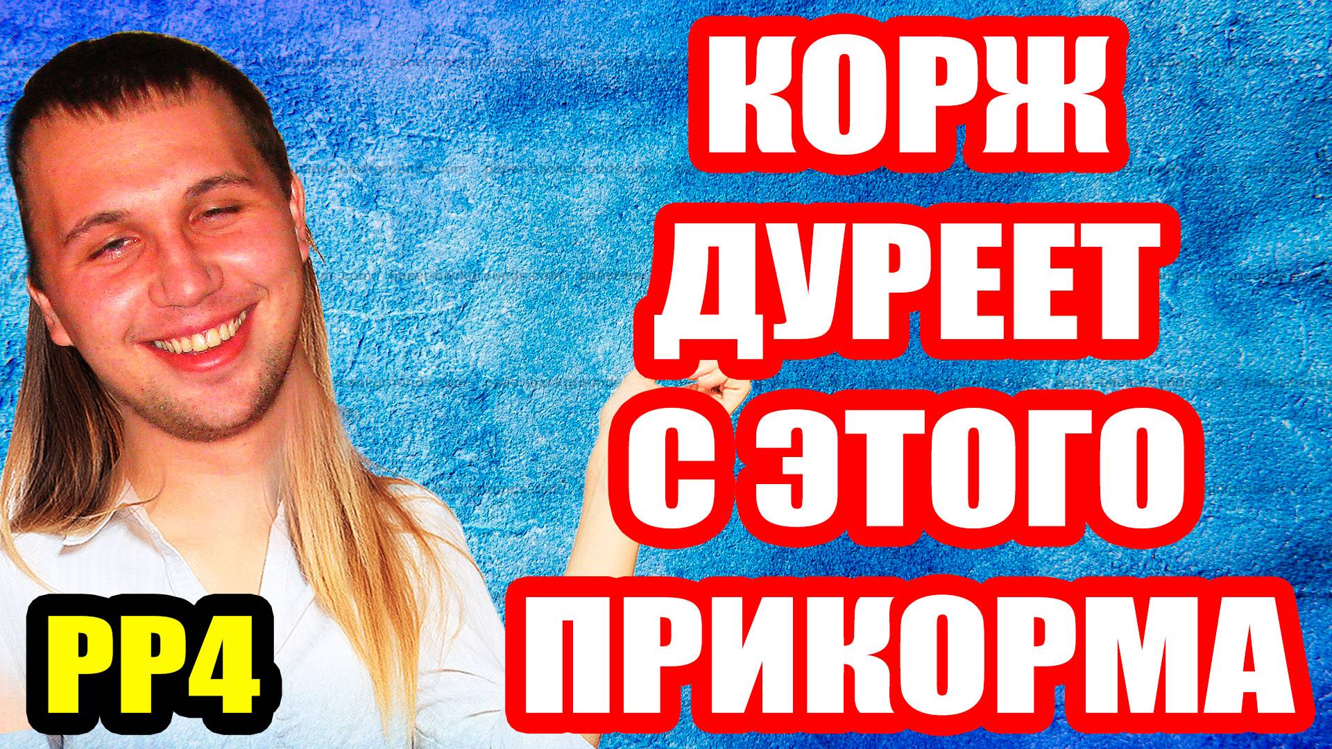 Лещ - 800 серебра за 30 минут на СТАНДАРТНЫЙ ПРИКОРМ... ● Русская Рыбалка 4 | РР4 смотреть онлайн