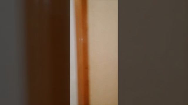 🏠 Волгоград, Краснооктябрьский р-он.
2к квартира в аренду на длительный срок.