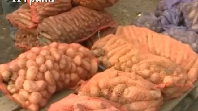 Україна оцінила урожай картоплі смотреть онлайн