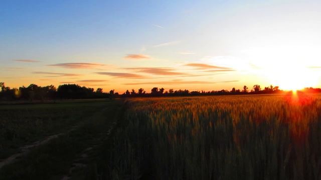 Встречаем рассвет в поле смотреть онлайн