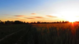 Встречаем рассвет в поле