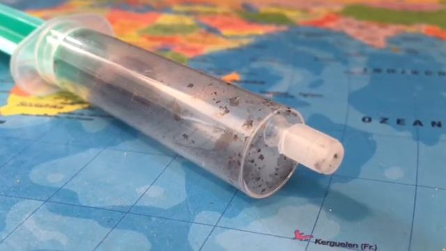 TEMNOTHORAX SP. :P смотреть онлайн