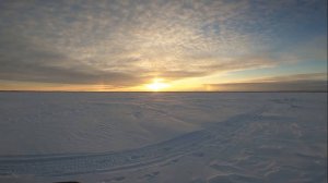 (47). Отличная рыбалка на налима в январе. 14.01.2022