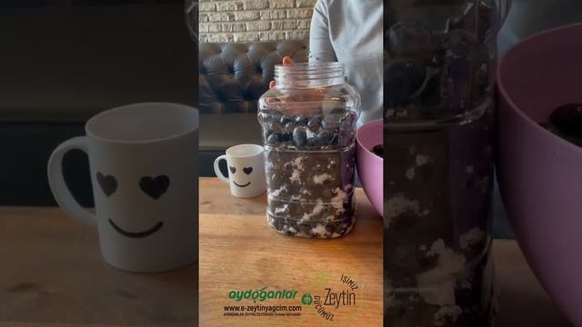 Yuvarlama Kuru Sele Zeytin Yapımı E-zeytinyağcım смотреть онлайн