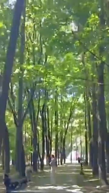 Приехал в парк Челюскинцев #Минск смотреть онлайн