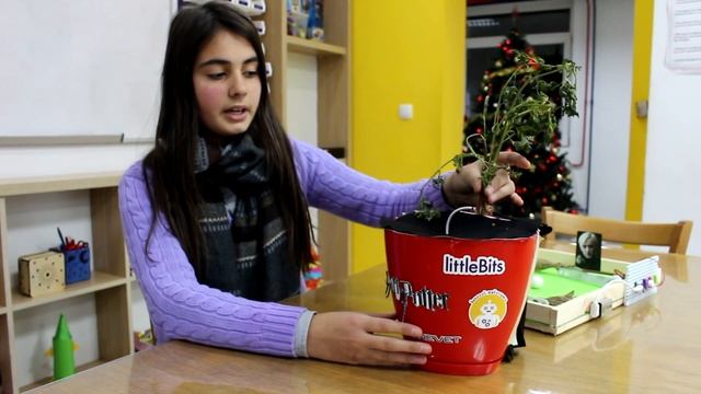 Madergona - Screaming mandrake смотреть онлайн