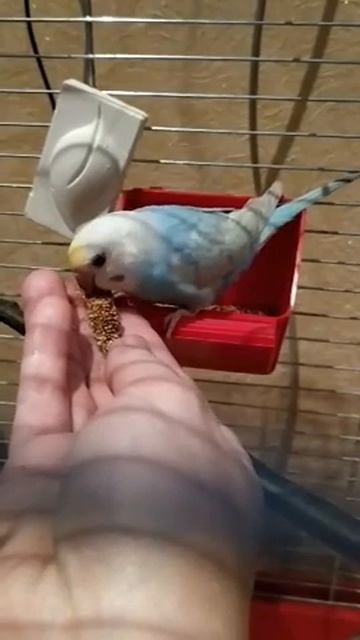 Малыши учаться кушать 3 смотреть онлайн