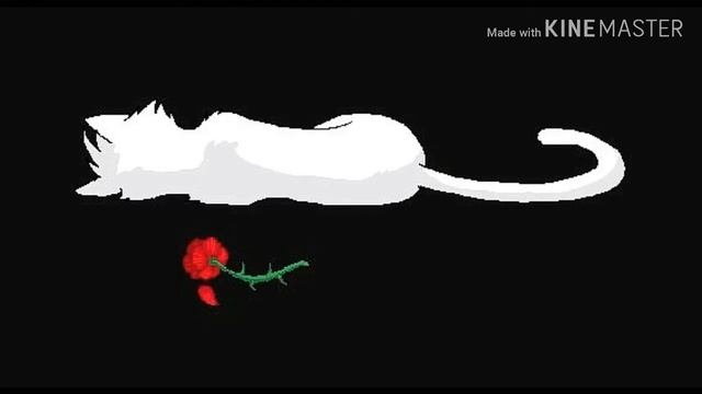 "Сердцеедка"Коты воители клип. смотреть онлайн