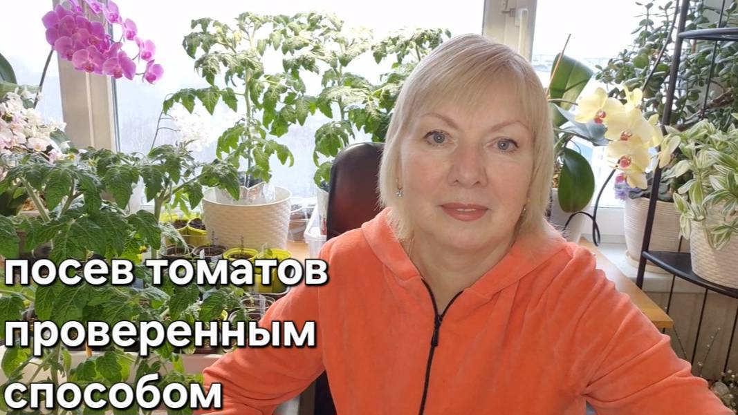 Рассада томатов и перца ПРОВЕРЕННЫЙ ГОДАМИ СПОСОБ ПОСЕВА Подкормка смотреть онлайн