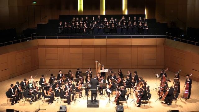 MVHS Chamber Orchestra in Dublin, Ireland: Raglan Road смотреть онлайн