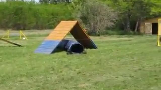 120512 Koala 2 смотреть онлайн