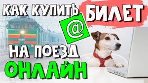 2 способа узнать, сколько стоит билет на поезд для собаки