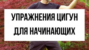 Гимнастика цигун - Оздоровительный комплекс упражнений для начинающих. Упражнения для пенсионеров