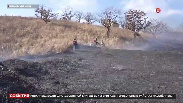 ТВ-Центр, Природные пожары в Приморском крае смотреть онлайн