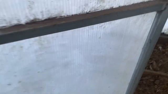 ВЕЧЕРНЕЕ КОРМЛЕНИЕ КУР_ЛЕЧУ ЗОБ У КУРИЦЫ ДЕНЬ ВТОРОЙ_СКОЛЬКО ЯИЦ СЕГОДНЯ_ 6 ФЕВРАЛЯ 2025 смотреть онлайн