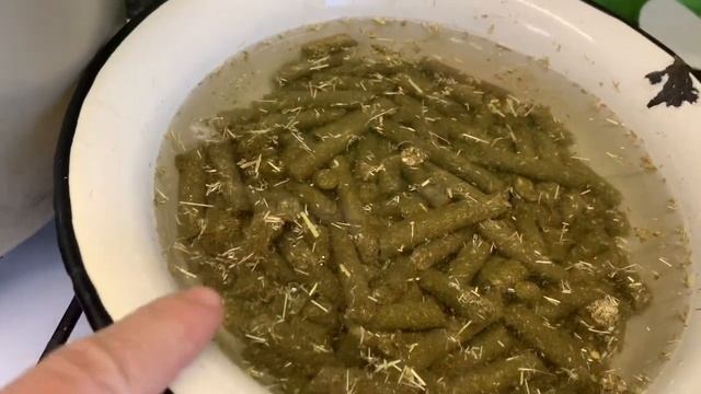 ЗОБ У КУРИЦЫ ВЫЛЕЧИЛА🙏🙏🙏 УТРО В КУРЯТНИКЕ__ 7 февраля 2025г смотреть онлайн