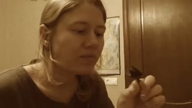 Королевские конфеты Обзор вяленой хурмы2 смотреть онлайн