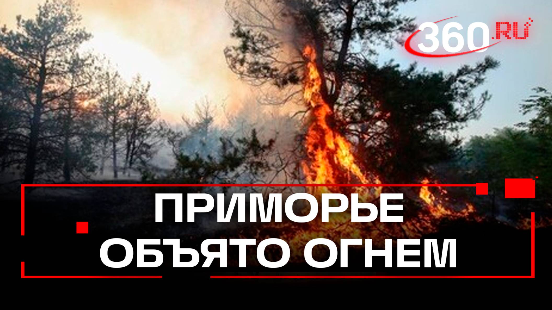 Все выгорело, никого не осталось. Пожары в Приморье подбираются к жилым домам
