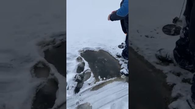 4 декабря 2023 г. смотреть онлайн