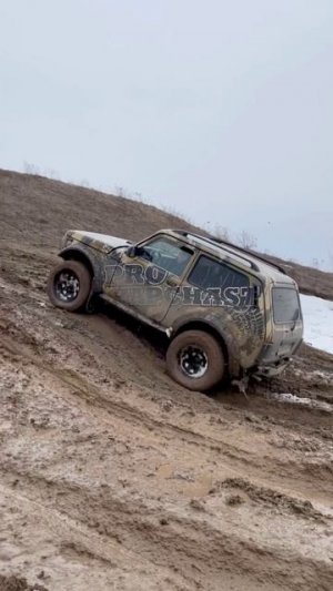 Нивас едет в гору