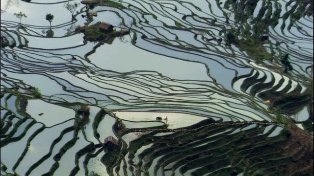 BBC: Планета людей 6 серия «Равнины: Источники силы» (документальный сериал, 2011)