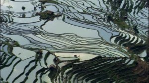 BBC: Планета людей 6 серия «Равнины: Источники силы» (документальный сериал, 2011)