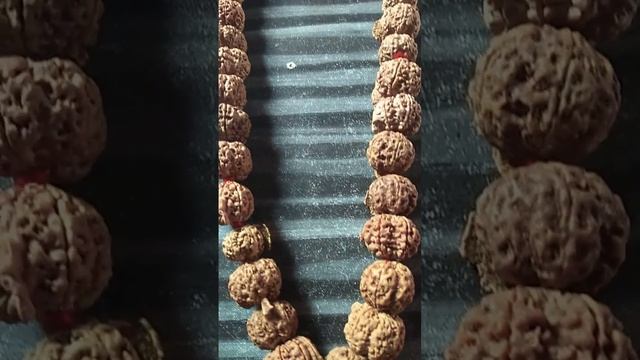 Ganesh original Nepali Rudraksha ki mala 54 beads super best quality Mob. - 9905207417 смотреть онлайн