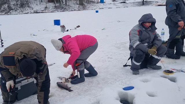 03-03-2025 смотреть онлайн