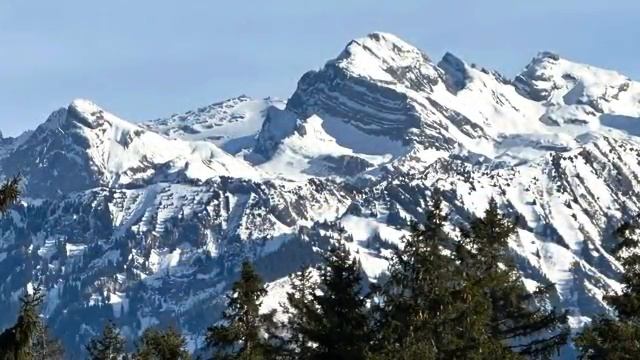 Песня о друге? - Lied über Wahre Freundschaft