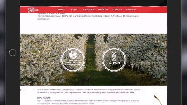 Website Presentation Ukraine Rubarb Digital. Frau Marta