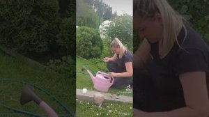 первая подкормка чеснока