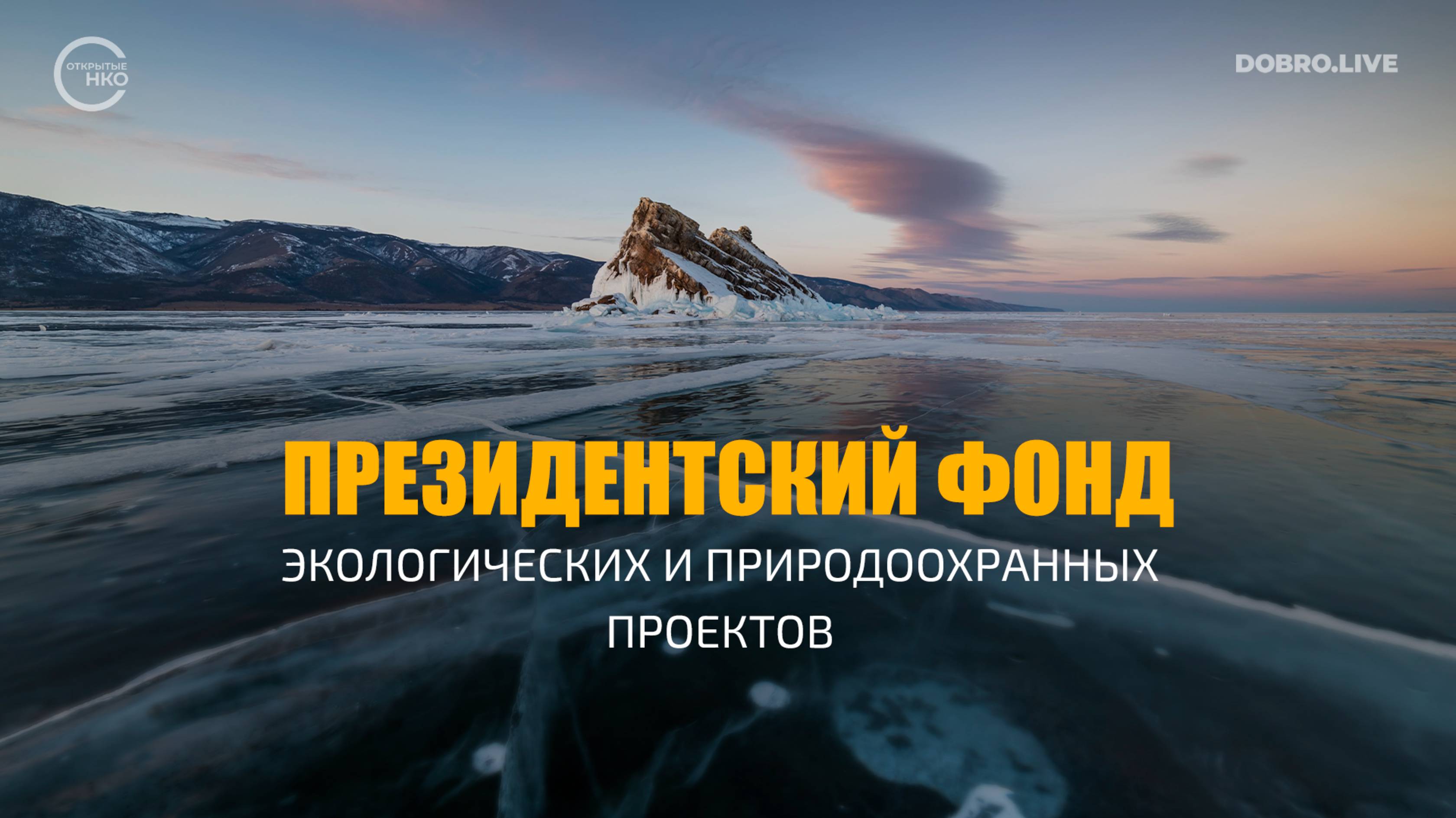 Учрежден Президентский фонд экологических и природоохранных проектов смотреть онлайн
