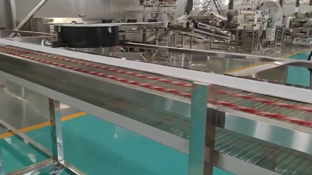 Тестирование Устройство перекрутки для экструдеров (производство жевательных палочек) Китай 2 смотреть онлайн