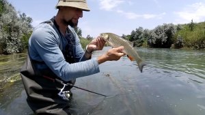 Рыбалка🎣,ловля белого хищника 🐟на реке Егорлык👍👍👍👍
