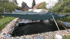 Форель выживает при температуре воды 22-25 градусов . Да еще и после урагана . В маленьком пруду