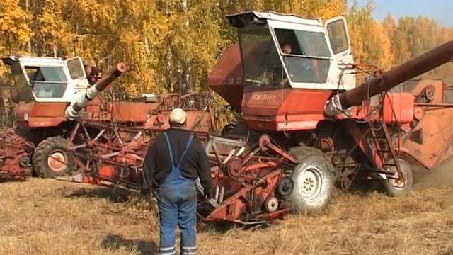 Наш лицей штрихи к портрету смотреть онлайн