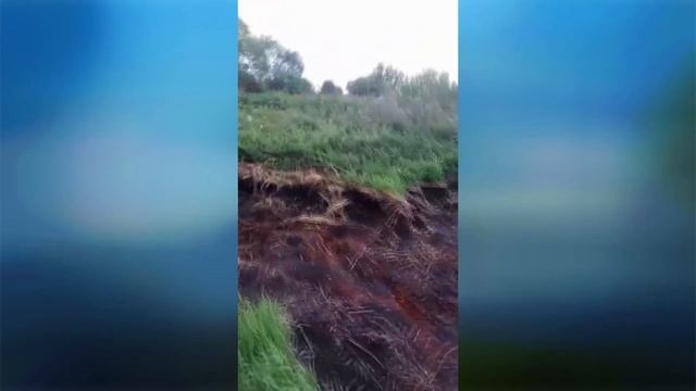 НЕ ЖГИТЕ СУХУЮ ТРАВУ... смотреть онлайн