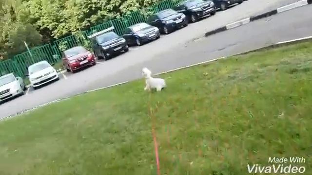 ЛЕТО ИЮЛЬ|2016 )) ☺ смотреть онлайн