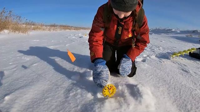 Щука ЗАЖИГАЕТ флажки! Алёнка ЖЖЁТ!!! А вы ЧТО ДУМАЛИ? И зачем мы только ЖЕРЛИЦЫ на ночь оставили... смотреть онлайн