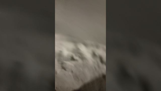 страдаем херней