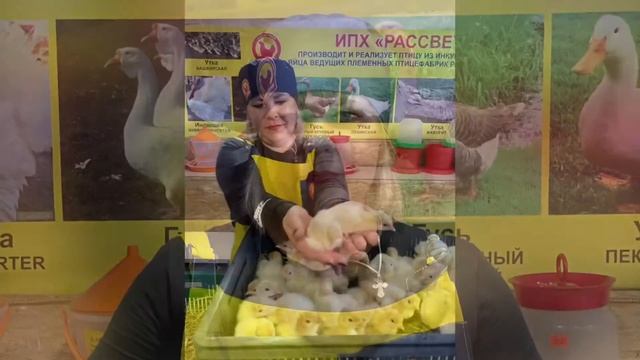 8 Марта смотреть онлайн