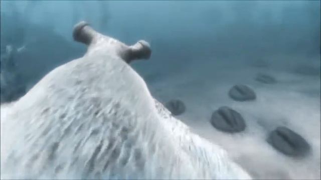 the ultimate anomolocaris canadensis tribute смотреть онлайн