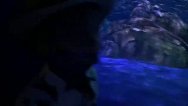 Georgia Aquarium смотреть онлайн