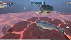 Убиваю всех эпических боссов в подводном мире в с тюленя кекса в WildCraft: Симулятор Зверей.