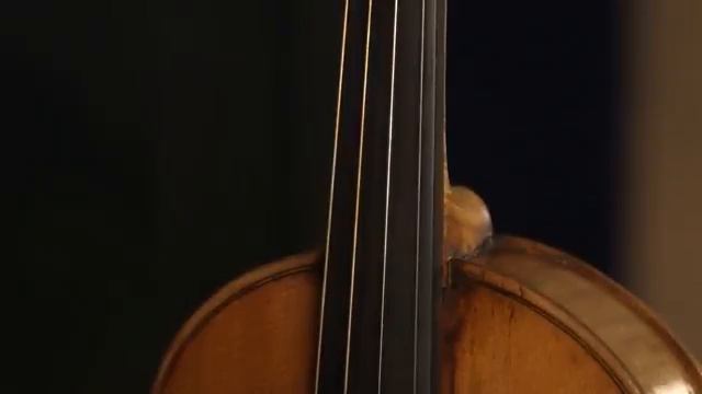 История музыкальных инструментов. История скрипки смотреть онлайн