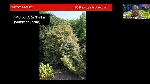 "Small Trees for Urban Landscapes" смотреть онлайн