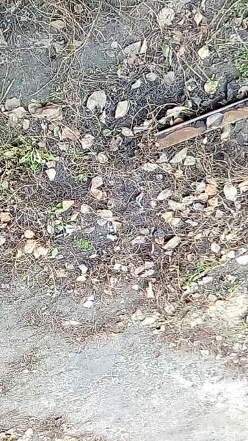 VID_20191107_104641 смотреть онлайн